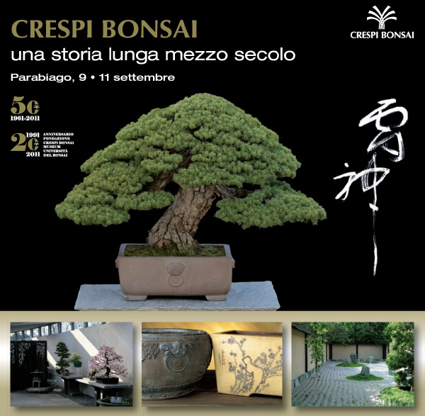 Crespi Bonsai - Una storia lunga mezzo secolo