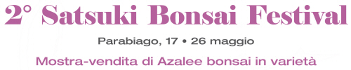 Satsuki Bonsai Festival - Parabiago 17 • 26 maggio