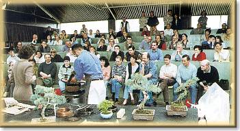 The bonsai museum - the conference hall