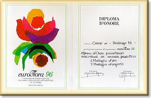 Euroflora certificate of Honour (click to enlarge) 