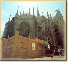 The bonsai exhibition in Piazza Duomo (Milano)