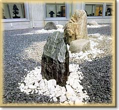 The bonsai museum - The zen garden