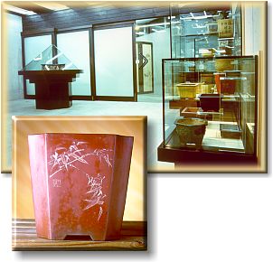 The bonsai museum: the pots hall