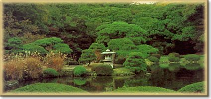 Crespi Bonsai - a deep respect for the nature