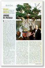 Amore in piccolo - Nomi e giardini - Acquisti e consigli. Per Luigi Crespi, a Milano, il bonsai non ha segreti,