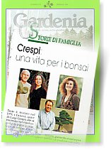 Crespi: una vita per i bonsai