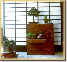 Interno negozio di Brescia