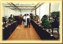 L'ingresso della mostra.